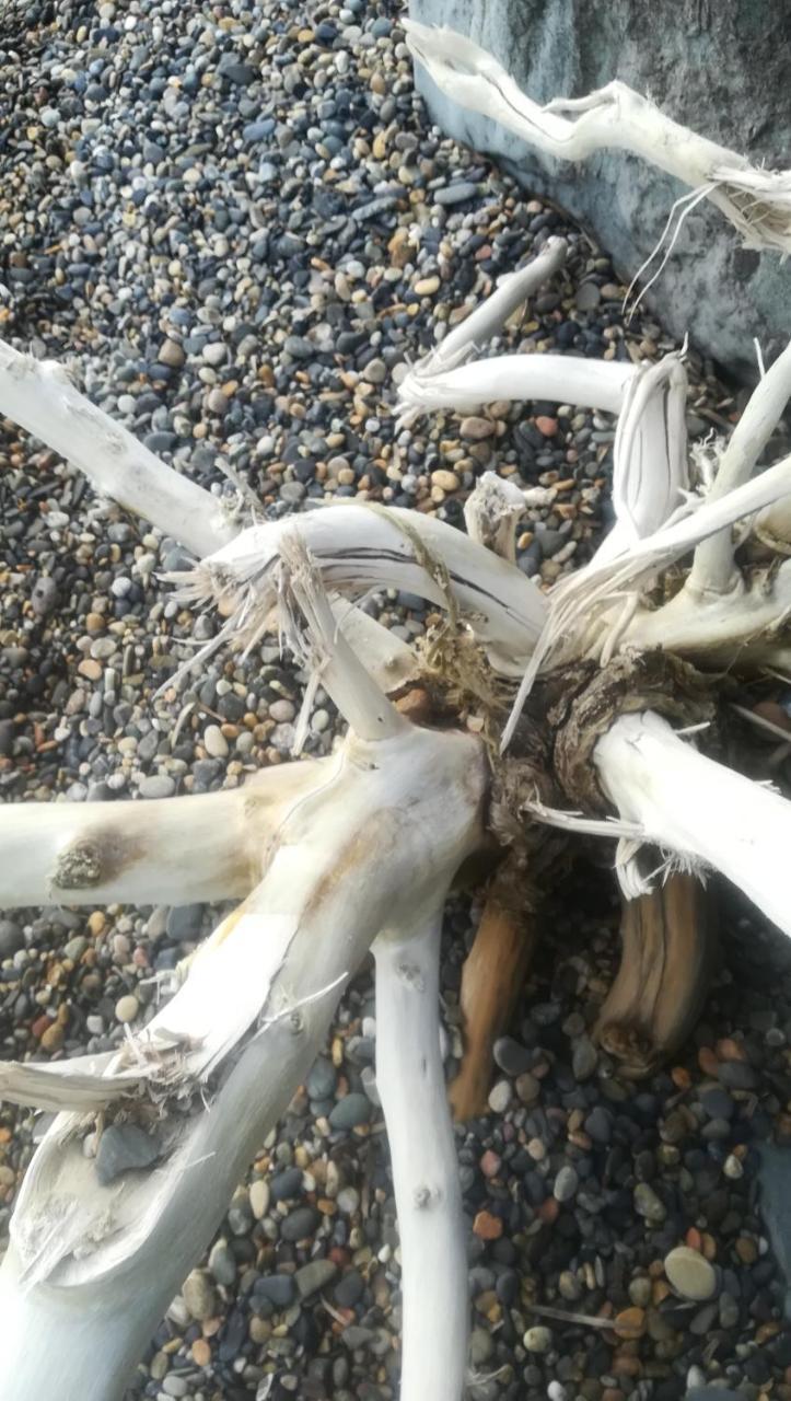 Porto Columbu - Perd'E Sali Villa Dolly المظهر الخارجي الصورة